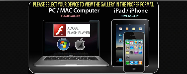 Choose Gallery
